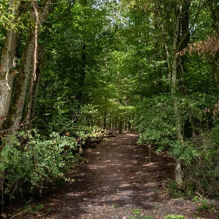 Maison Lacs Et Forets Villa