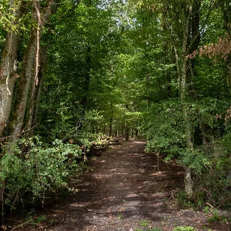 Forets Et Lacs Villa