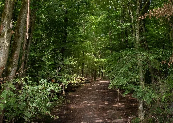 Maison Lacs Et Forets Vila